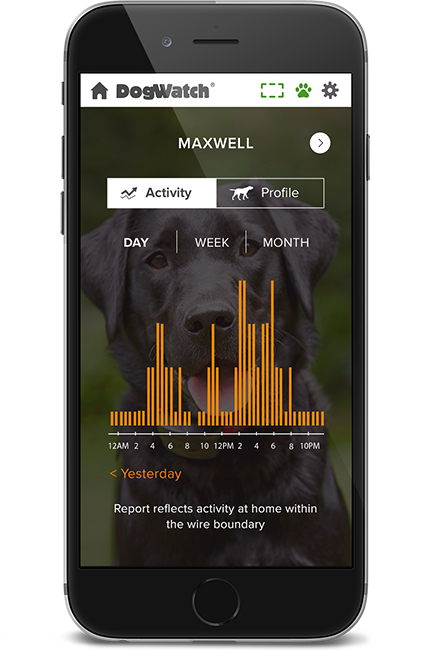 Palmetto DogWatch, Columbia, SC | SmartFence WebApp Image