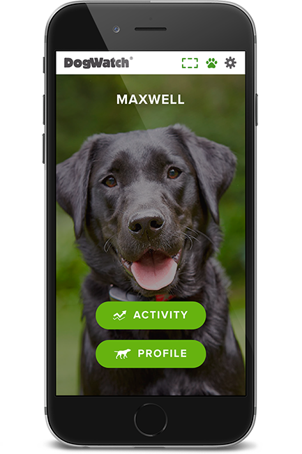 Palmetto DogWatch, Columbia, SC | SmartFence WebApp Image