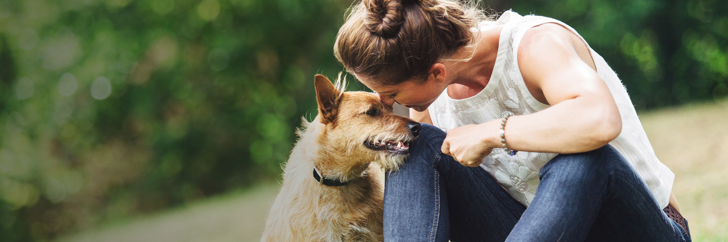 Palmetto DogWatch, Columbia, SC | BarkCollar No-Bark Trainer Slider Image