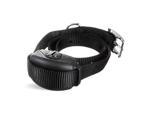 Palmetto DogWatch, Columbia, SC | SideWalker Leash Trainer Product Image